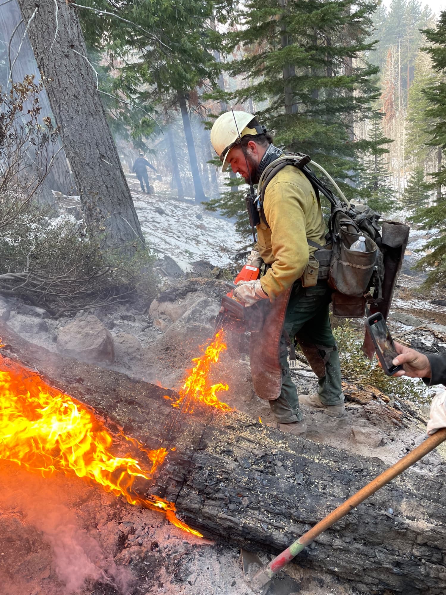 Founder using a chainsaw on the fireline